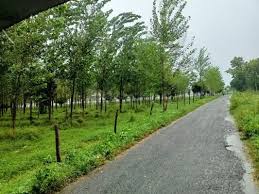 Plots for Sale in Rudrapur: A Lucrative Investment Opportunity in Uttarakhand